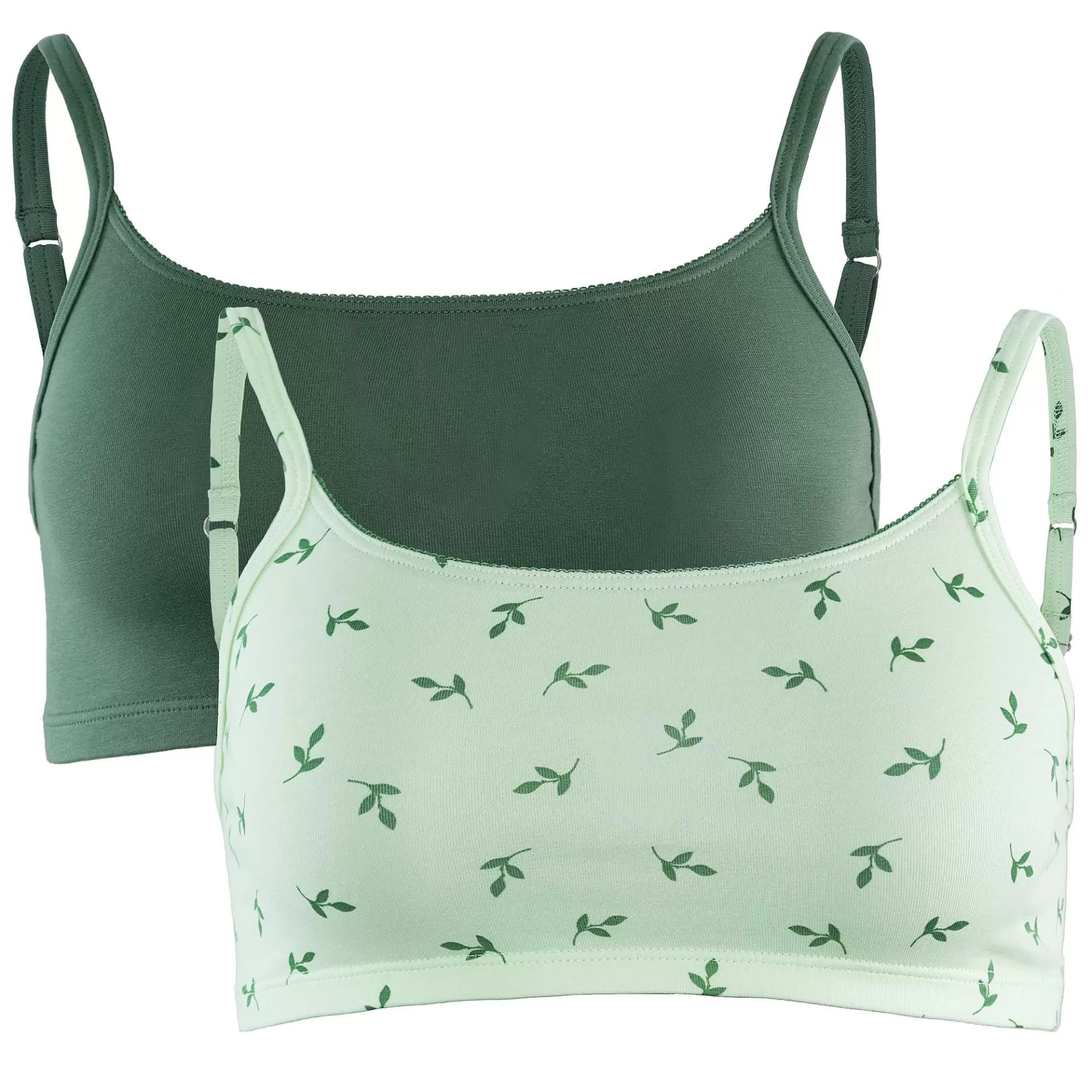 LIVING CRAFTS Ilenia | Bustier, Set Van 2 Zilver Dennenhout / Mistig Groen Online